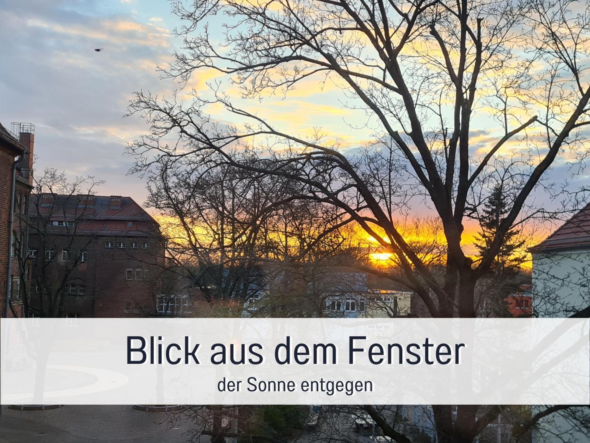 Lichtdurchflutete Moderne Stadtwohnung, Kueche, Waschtrockner, Smarttv Brandenburg  Exteriör bild